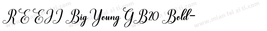 REEJI BigYoungGB20 Bold字体转换